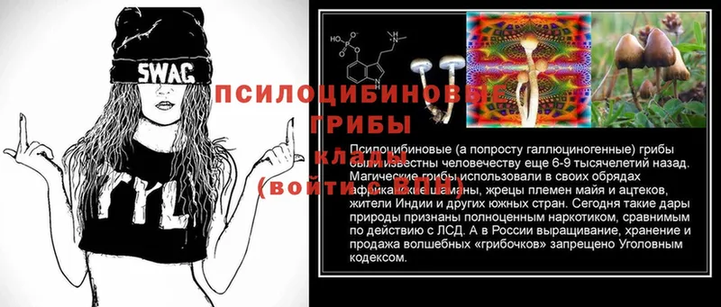 Псилоцибиновые грибы MAGIC MUSHROOMS  наркошоп  Лабинск 